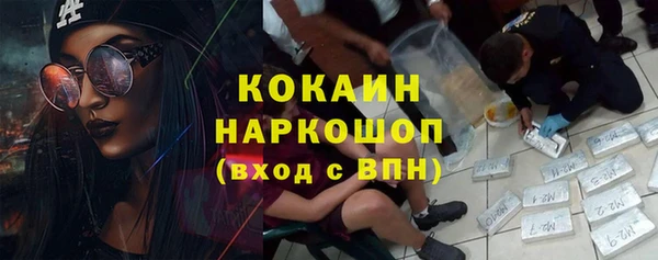 шишки Медвежьегорск