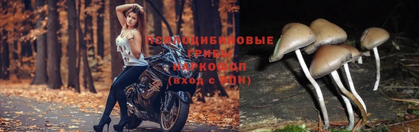синтетический гашиш Абинск