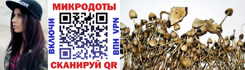 Галлюциногенные грибы Magic Shrooms  ОМГ ОМГ рабочий сайт  Чухлома  купить наркотики сайты 